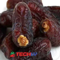 Premium Quality Maryam Dates 1 Kg